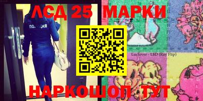 стафф Белореченск