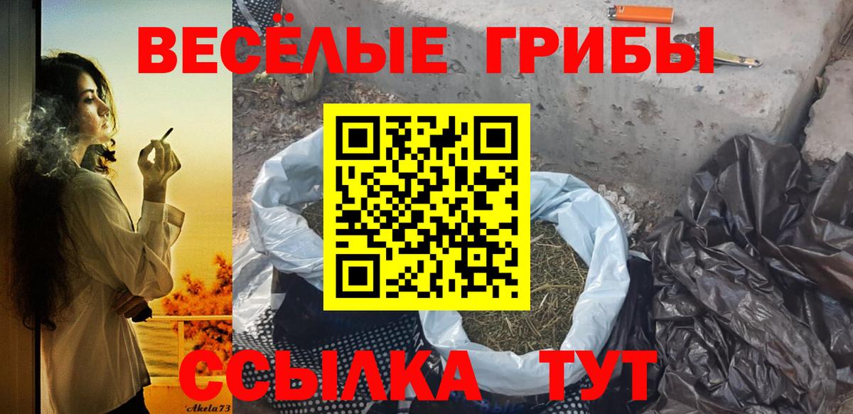Воронеж  Псилоцибиновые грибы GOLDEN TEACHER  Вход с VPN 
